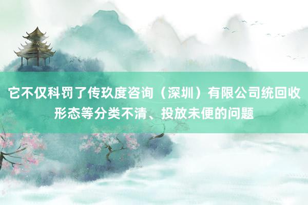它不仅科罚了传玖度咨询（深圳）有限公司统回收形态等分类不清、投放未便的问题